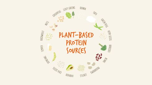heather-email-1-protein-sources