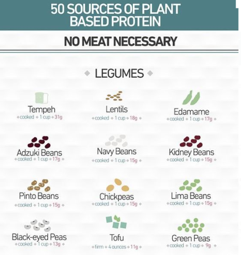 Protein 1.PNG